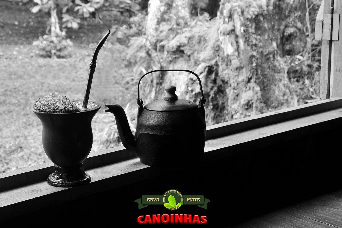 Erva Mate Canoinhas